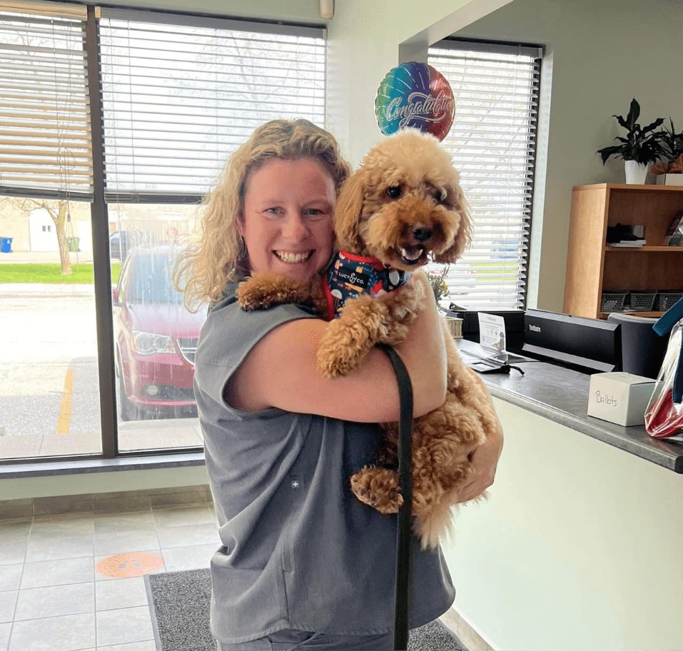 Veterinarian holding dog